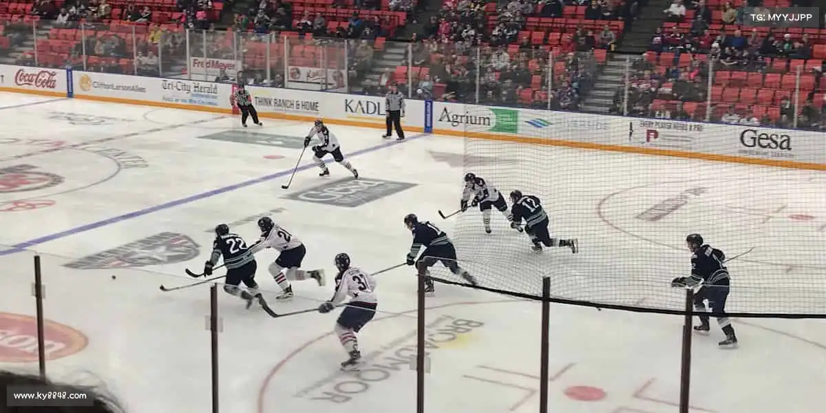 白嫖白菜网——🌟超越自我，成就非凡人生！